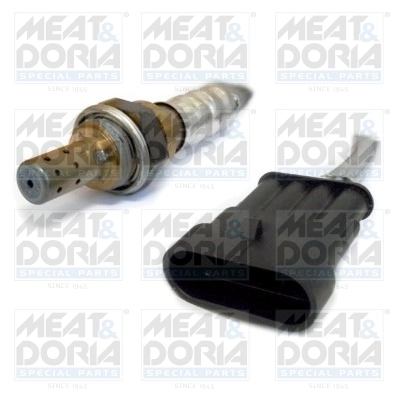 Oxygen Sensor
